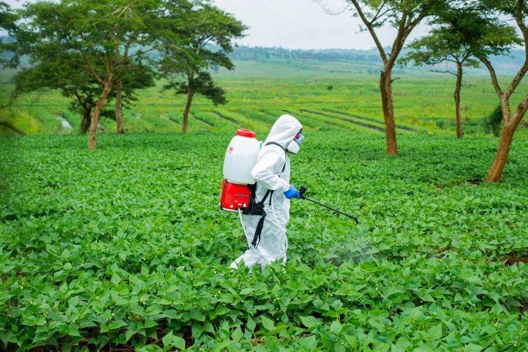 Soil & crop health